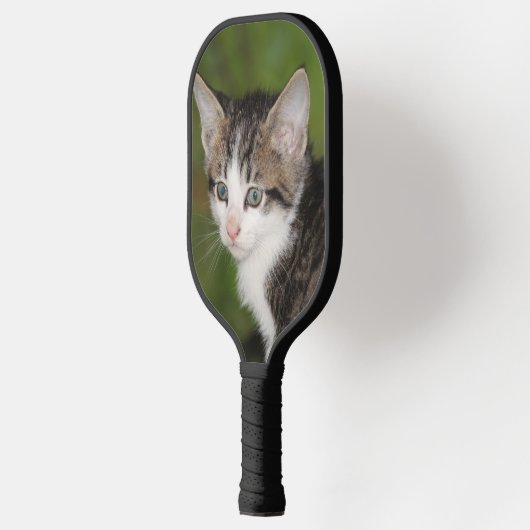 Kitten Pickleball Paddle (Links)