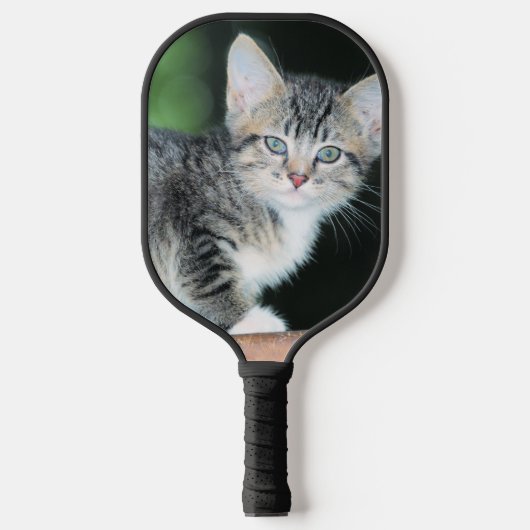 Kitten Pickleball Paddle (Voorkant)