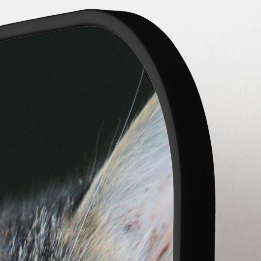 Kitten Pickleball Paddle (Links Detail)