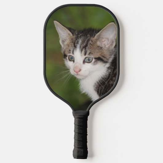 Kitten Pickleball Paddle (Achterkant)