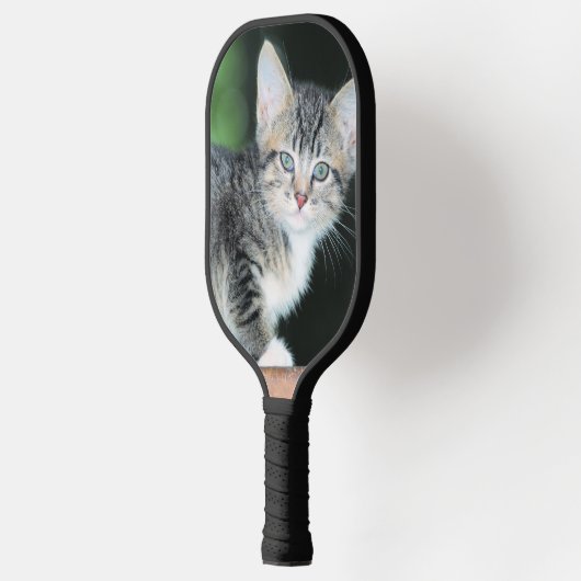 Kitten Pickleball Paddle (Links)