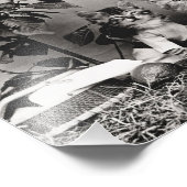 Kitten Picknick Foto Afdruk (Hoek)