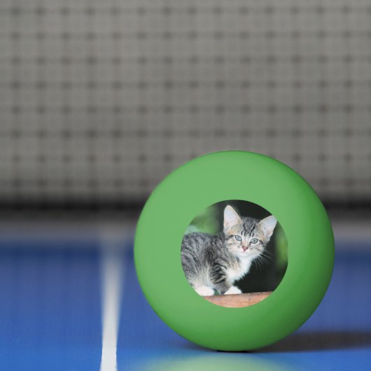 Kitten Pingpongbal (Net)