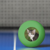 Kitten Pingpongbal (Net)