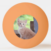 Kitten Pingpongbal (Achterkant)
