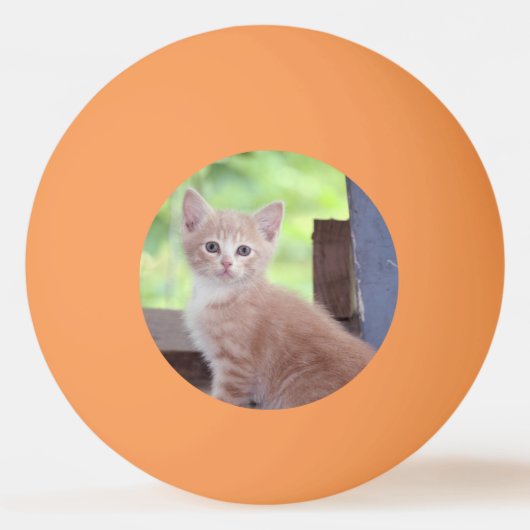 Kitten Pingpongbal (Achterkant)