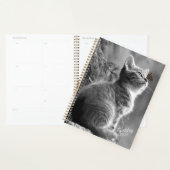 Kitten Planner (Display)