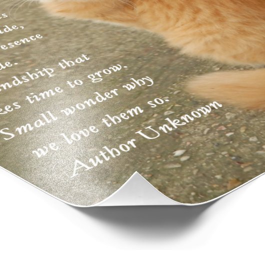 Kitten Poem Cute Oranje Cat Foto Afdruk (Hoek)