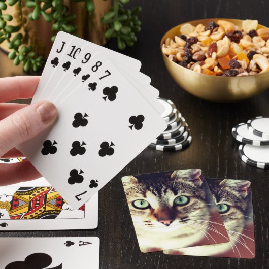 Kitten Pokerkaarten (Insitu)