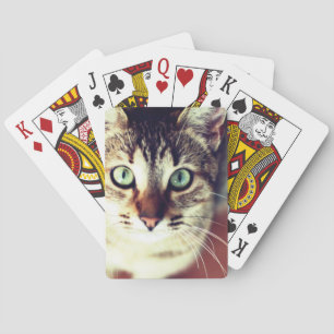Kitten Pokerkaarten