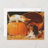Kitten, pompoen en puppy briefkaart (Voorkant / Achterkant)