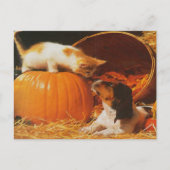 Kitten, pompoen en puppy briefkaart (Voorkant)