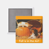 Kitten, pompoen en puppy magneet (Voorkant / Achterkant)