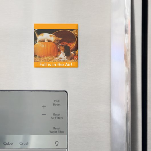 Kitten, pompoen en puppy magneet (Insitu (Koelkast))