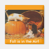 Kitten, pompoen en puppy magneet (Voorkant)