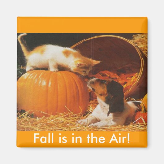 Kitten, pompoen en puppy magneet (Voorkant)