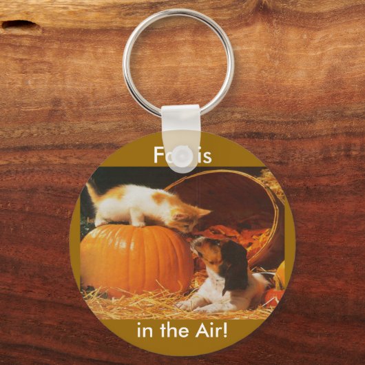 Kitten, pompoen en puppy sleutelhanger (Voorkant)