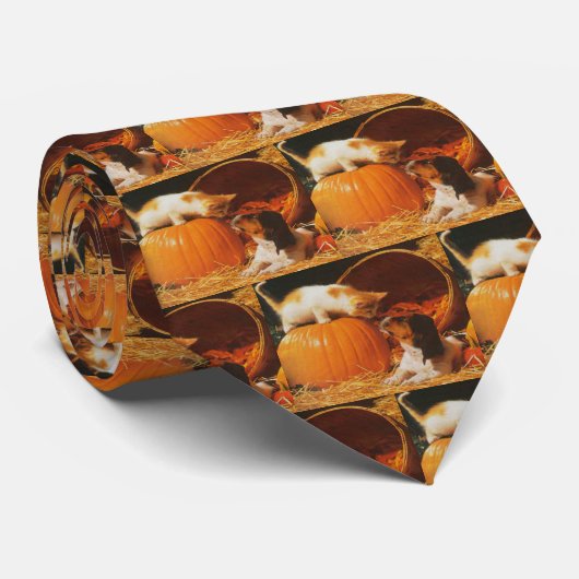 Kitten, pompoen en puppy stropdas (Opgerold)