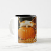 Kitten, pompoen en puppy tweekleurige koffiemok (Voorkant links)