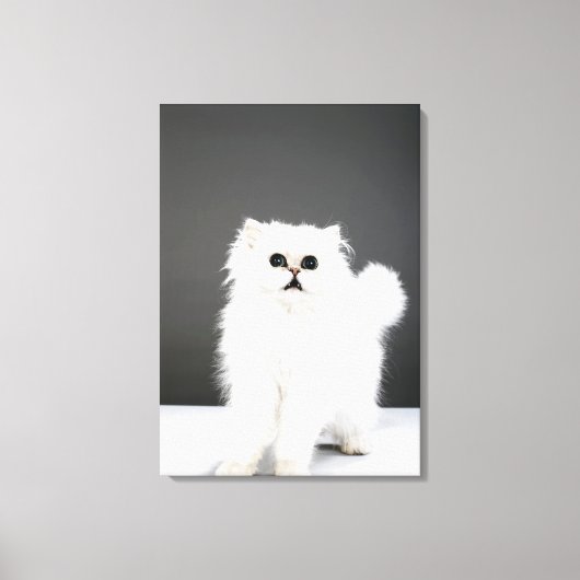 Kitten Portrait Canvas Afdruk (Voorkant)