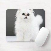 Kitten Portrait Muismat (Met muis)