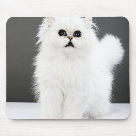 Kitten Portrait Muismat (Voorkant)