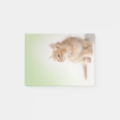 Kitten Post-it Note (Voorkant)