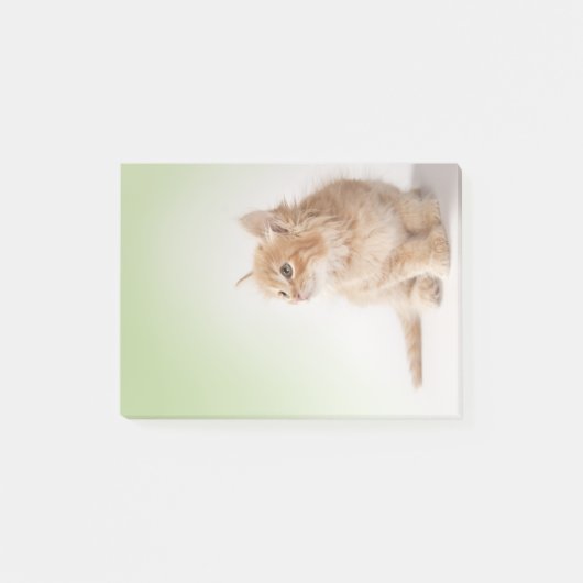 Kitten Post-it Note (Voorkant)