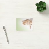 Kitten Post-it Note (Kantoor)