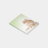 Kitten Post-it Note (Schuin)