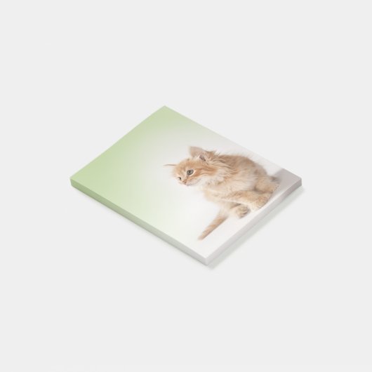 Kitten Post-it Note (Schuin)