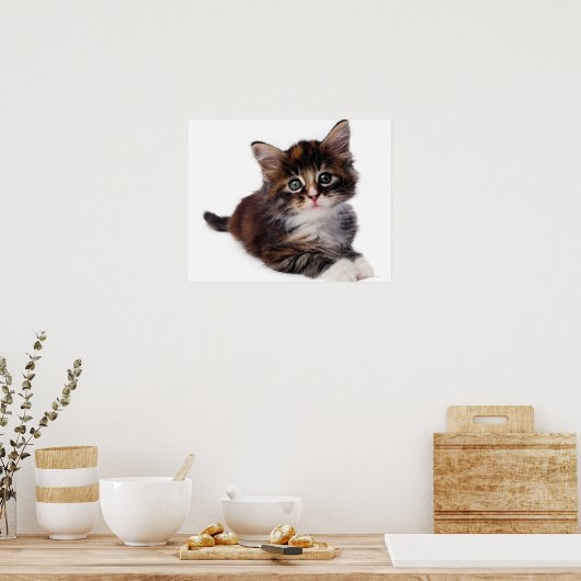 Kitten Poster (Keuken)