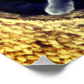 Kitten poster (Hoek)