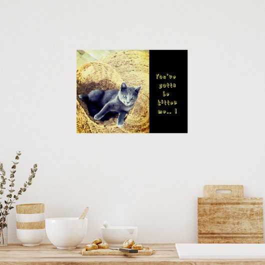 Kitten  poster (Keuken)