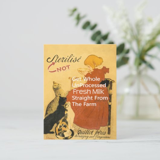 Kitten  Poster Briefkaart (Staand voorkant)