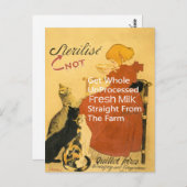 Kitten Poster Briefkaart (Voorkant / Achterkant)