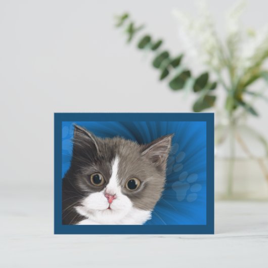 kitten-postkaart briefkaart (Staand voorkant)
