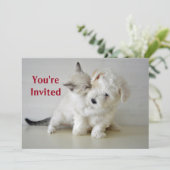 Kitten Puppy Bridal Shower Kaart (Staand voorkant)