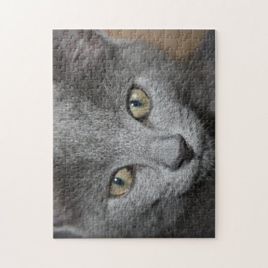 kitten puzzel (Verticaal)
