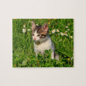 Kitten Puzzel (Horizontaal)