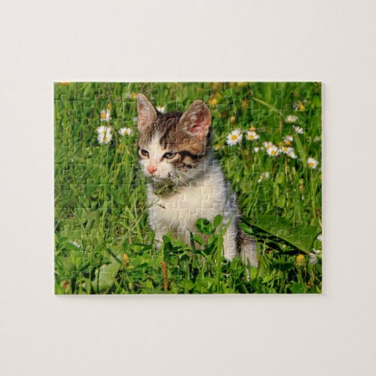 Kitten Puzzel (Horizontaal)