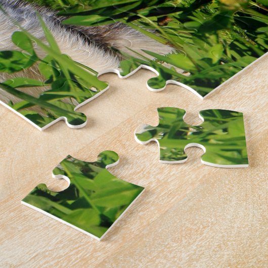 Kitten Puzzel (Zijkant)