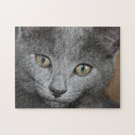 kitten puzzel legpuzzel (Horizontaal)