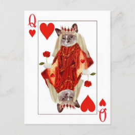 Kitten Queen of Hearts Briefkaart