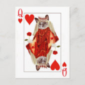 Kitten Queen of Hearts Briefkaart (Voorkant)
