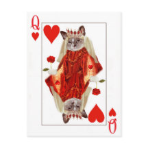 Kitten Queen of Hearts Briefkaart