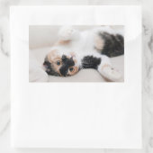 Kitten Rechthoekige Sticker (Tas)