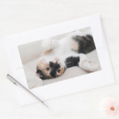 Kitten Rechthoekige Sticker (Envelop)