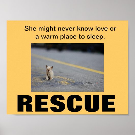 KITTEN RESCUE POSTER (Voorkant)
