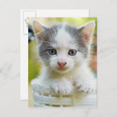 Kitten Rides A Bike Briefkaart (Voorkant / Achterkant)